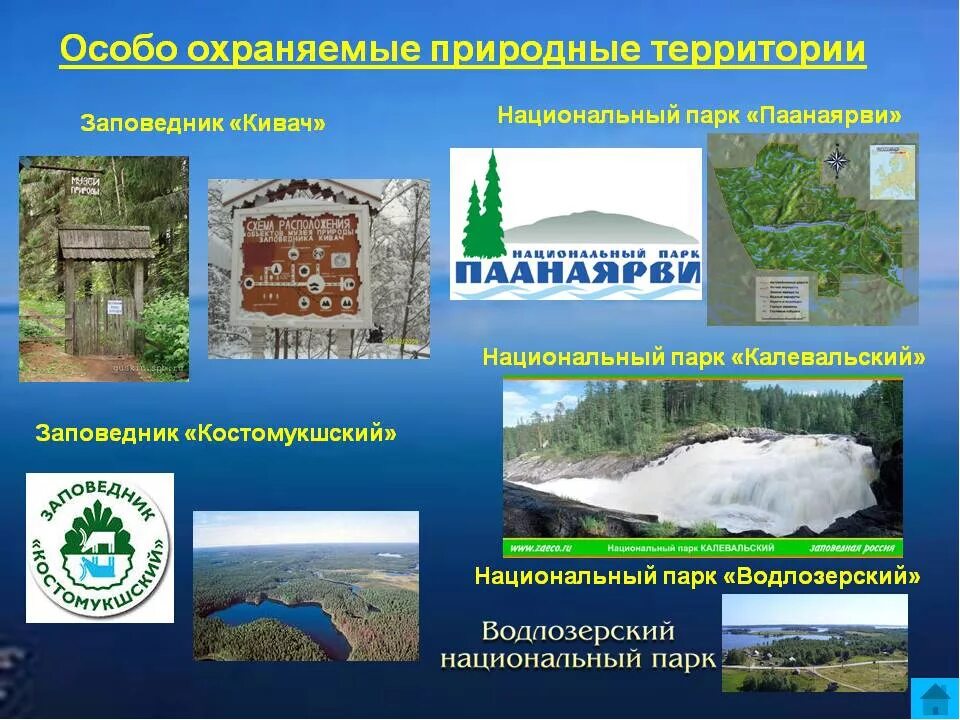 Как называется охраняемая природная территория. Заповедники и парки. Особо охраняемые территории национальные парки. ООПТ Карелии. Национальный парк это особо охраняемая территория.