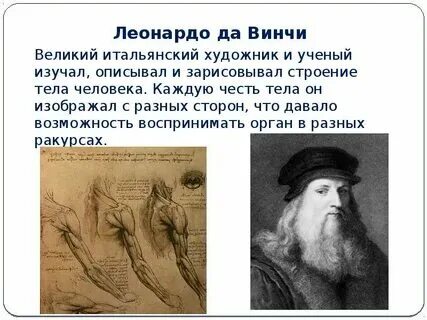 Леонардо да винчи что открыл в биологии