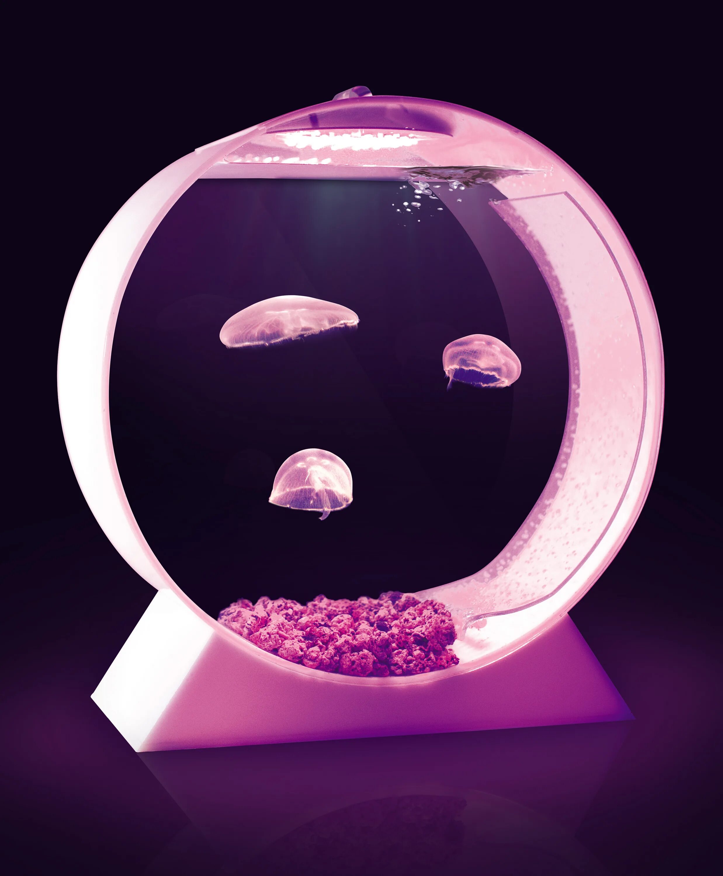 Медуза живая купить. Аквариум led desktop Jellyfish Tank. Аквариумные медузы живые. Аквариум медузятник. Аквариум с медузами.