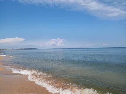 Голубицкая море отзывы 2024
