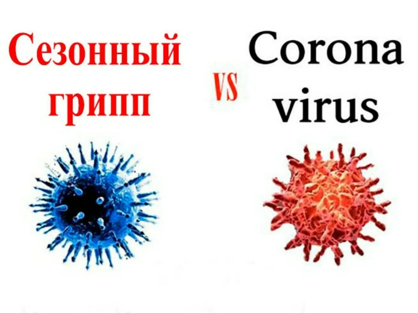 Танец против гриппа. Вирус гриппа. Вирус гриппа и коронавирус. Изображение вируса гриппа. Молекула вируса гриппа.