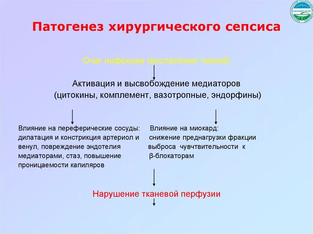 Этиология сепсиса. Механизм развития сепсиса. Сепсис этиология патогенез. Патогенез сепсиса. Септический шок интенсивная терапия.