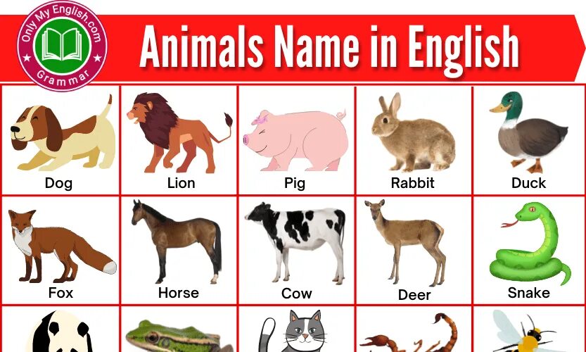 Животные на английском. Animals names. List of animals in English. Животные на g. Дикие животные на английском 3 класс