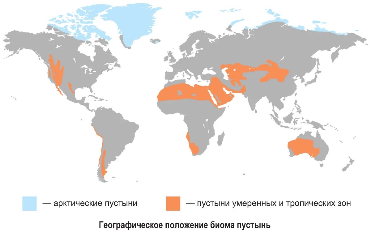 Географическое расположение тропических пустынь 20141028_624101846 презентация онлайн