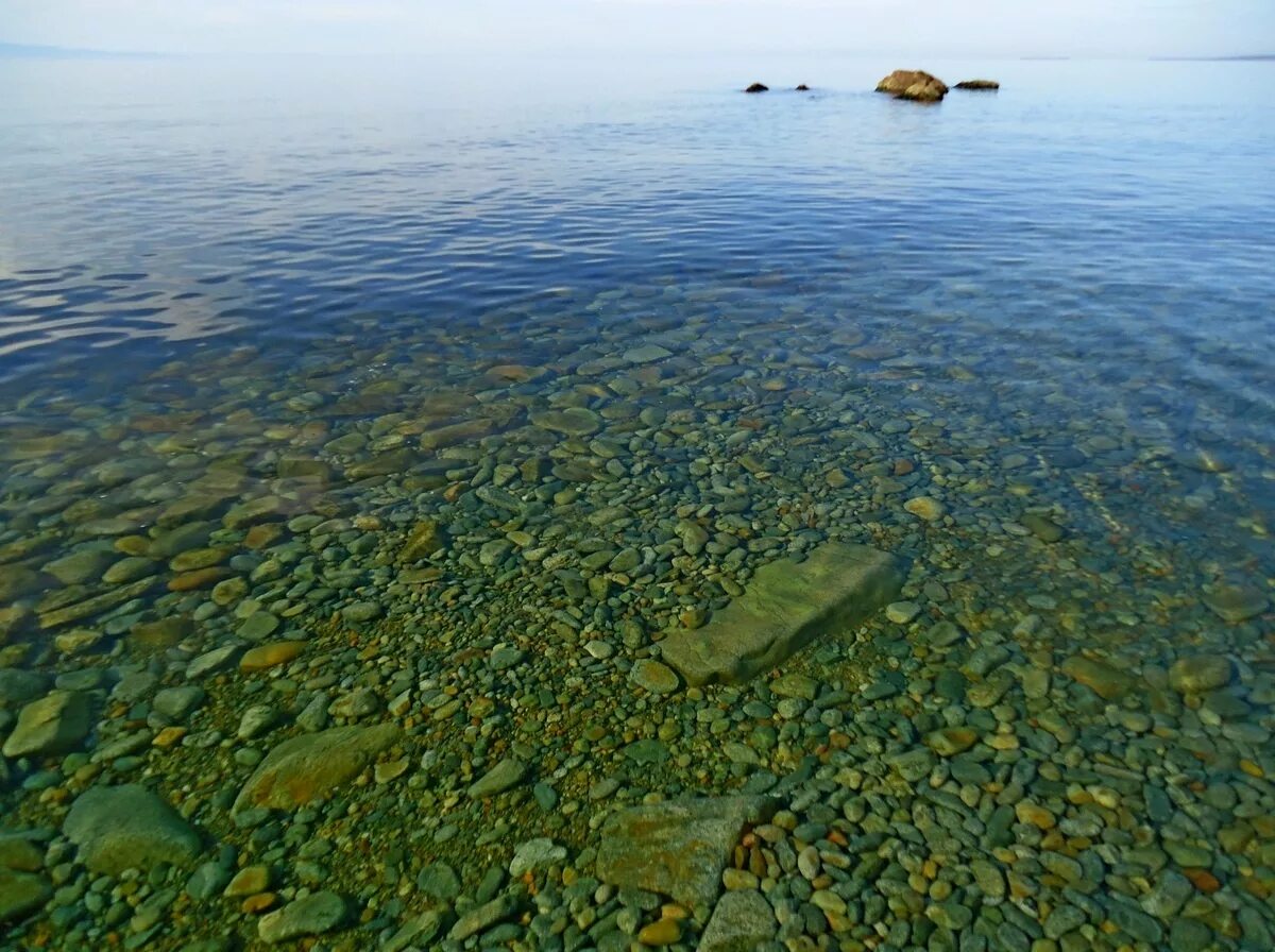 Дно озера Байкал. Озеро Байкал вода. Озеро Байкал прозрачность воды. Прозрачная Байкальская вода. Прозрачность воды в озерах