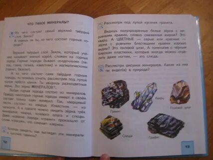 Окружающий мир 3 класс стр 133