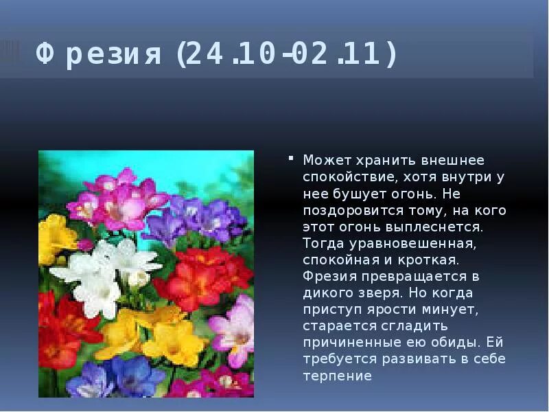 Цветок львов по гороскопу. Цветы по гороскопу. Цветочный гороскоп. Цветы и растения по гороскопу. Цветы знаков зодиака.