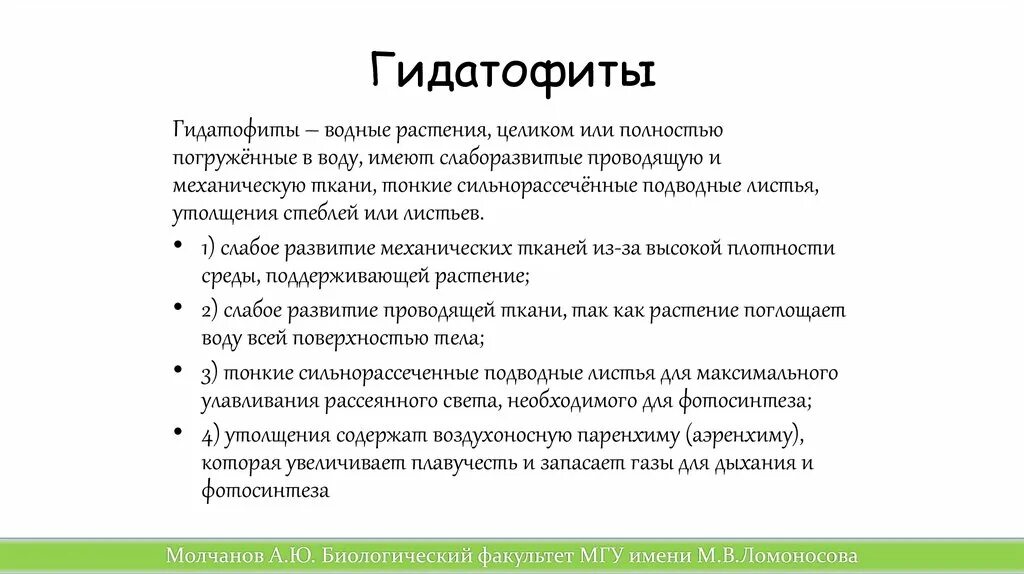 Гидрофиты особенности строения. Анатомическое строение гидрофитов. Признаки гидрофитов. Гидрофиты и гидатофиты. Наземно водные растения.