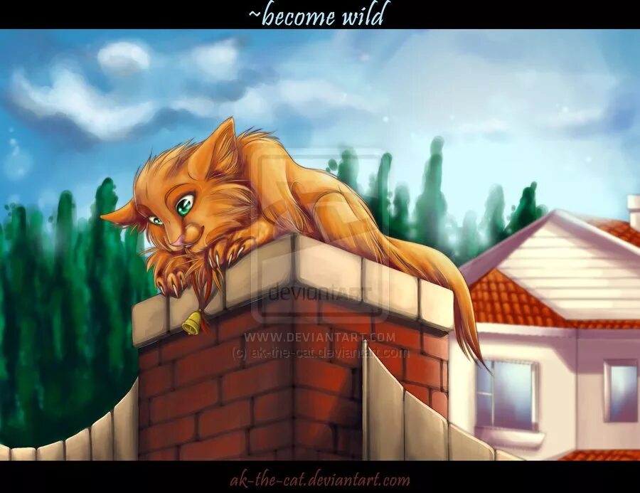 Коты воители рыжик. Коты воители огнезвёзд амино. Коты воители дом. Коты воители огнезвёзд звёздное племя. Коты воители дом.