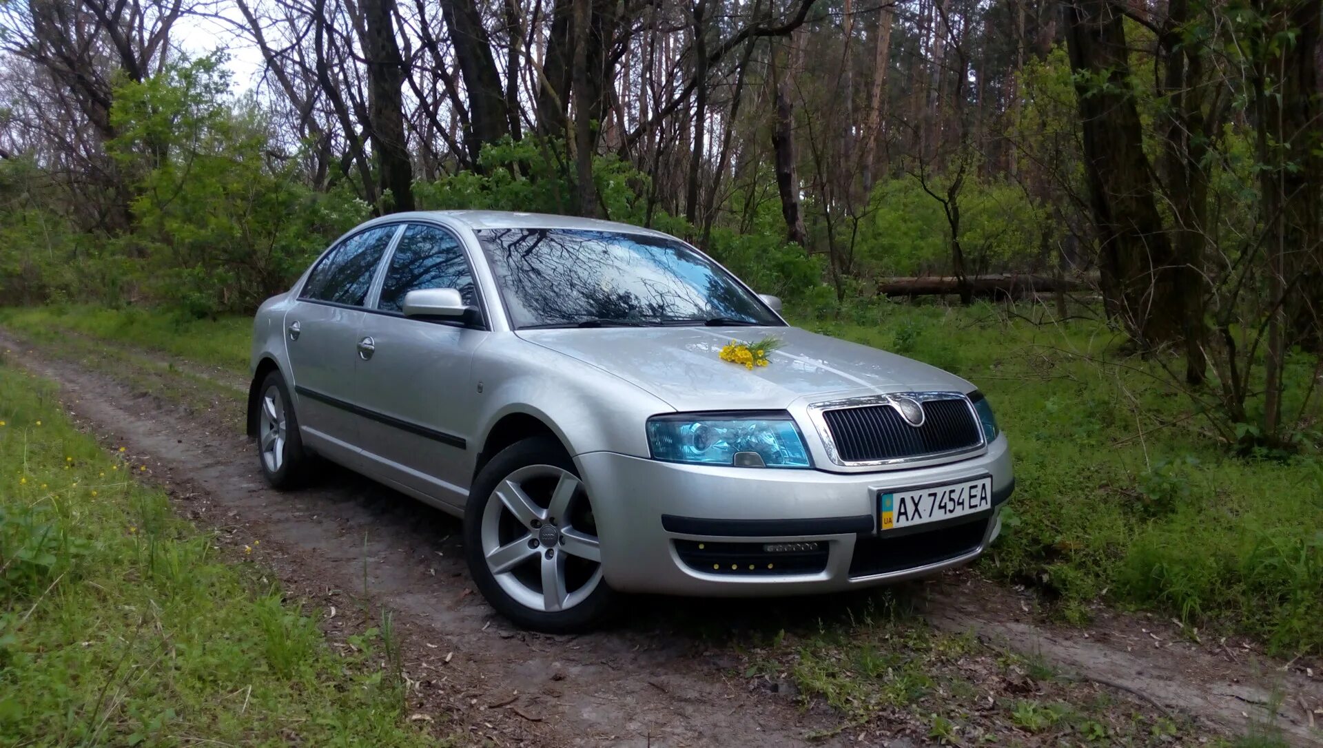 Шкода купить 2007. Шкода Суперб 1. Шкода Суперб 1 поколения. Шкода Суперб 1 2007. Skoda Superb mk1.