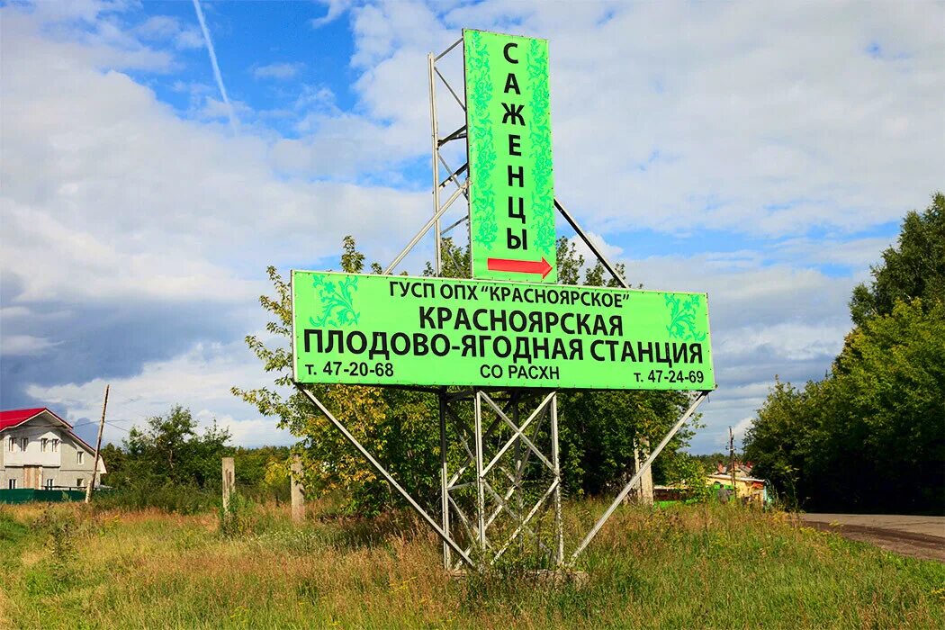 Россошь плодово-ягодная станция. Поселок опытная станция. Россошанская плодово-ягодная станция. Россошанская плодово-ягодная станция. Опытно плодово ягодной станции.