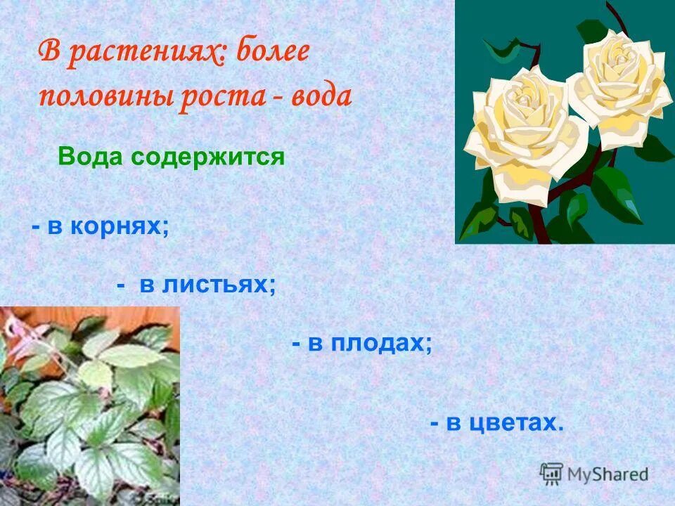 В корне содержится значение. В корне содержится значение