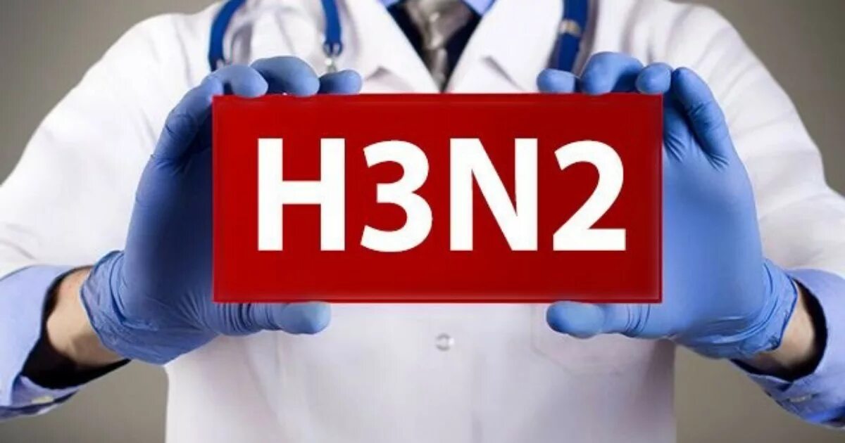 Гонконгский грипп симптомы. Гонконгский грипп. грипп h3n2. гонконг грипп. штамм гриппа h3n2.