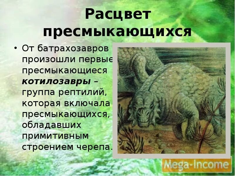 Расцвет пресмыкающихся. Происхождение пресмыкающихся. Предки пресмыкающиеся. Происхождение рептилий.