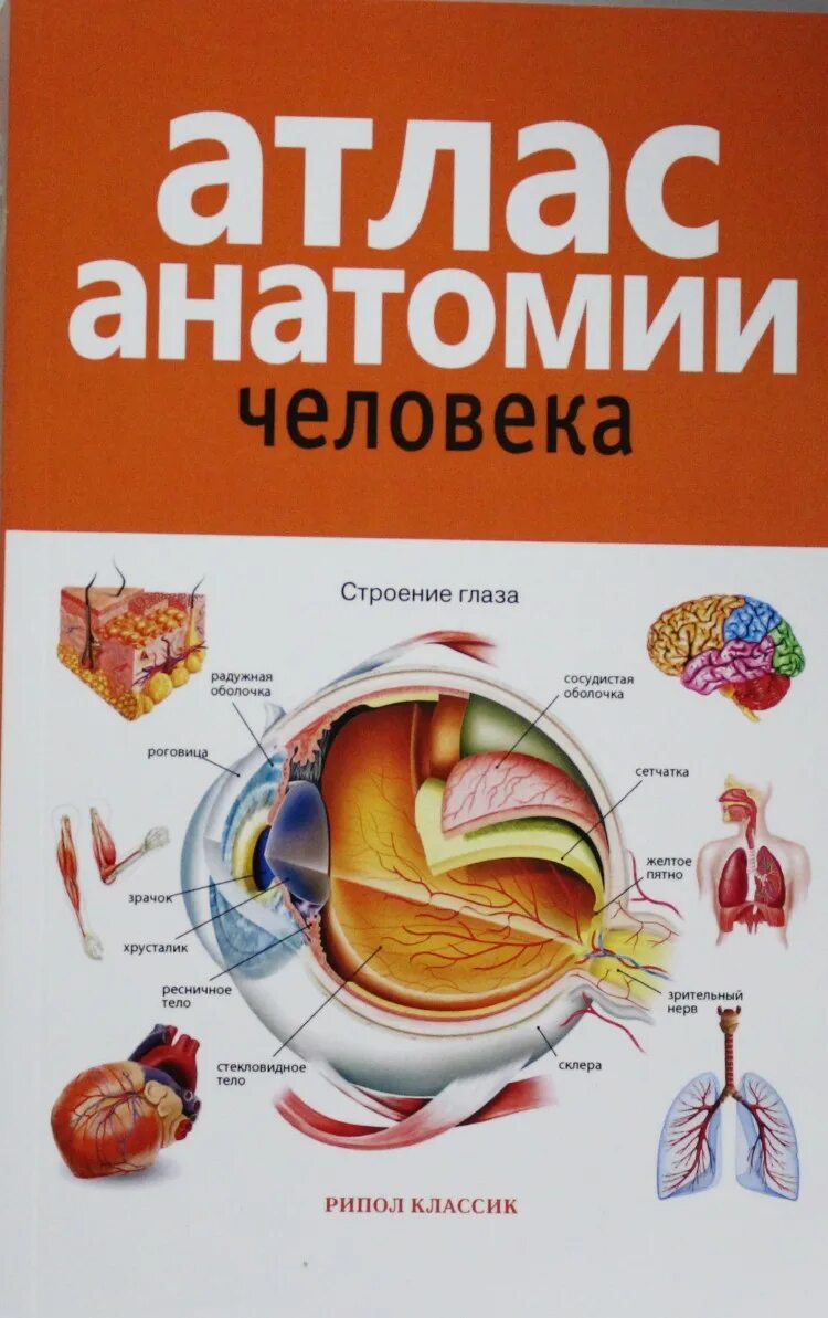 Атлас купить б. Атлас анатомии человека Рипол. Атлас анатомии человека Рипол Классик. Атлас анатомии человека для стоматологов Сапин. Атлас "анатомии человека. Системы и органы" - Издательство Астрель.