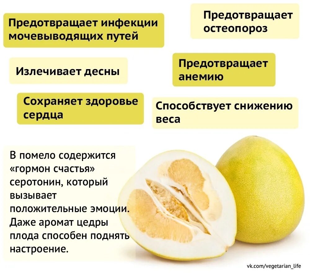 Помело содержит. Помело фрукт полезные. чем полезна помело. помело фрукт чем он полезен. помело чем полезен для организма и вред.