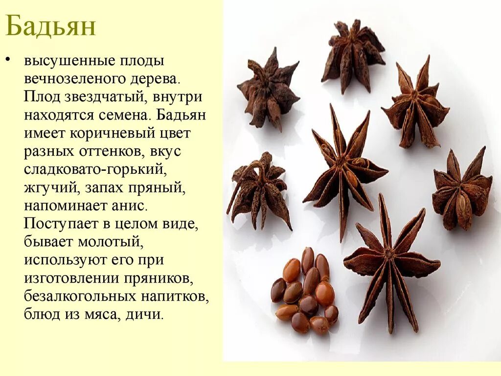 Специи гвоздика лечебные свойства