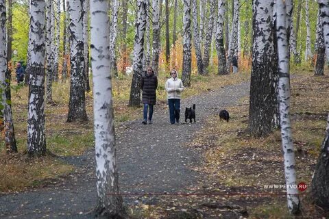 Осень первоуральск