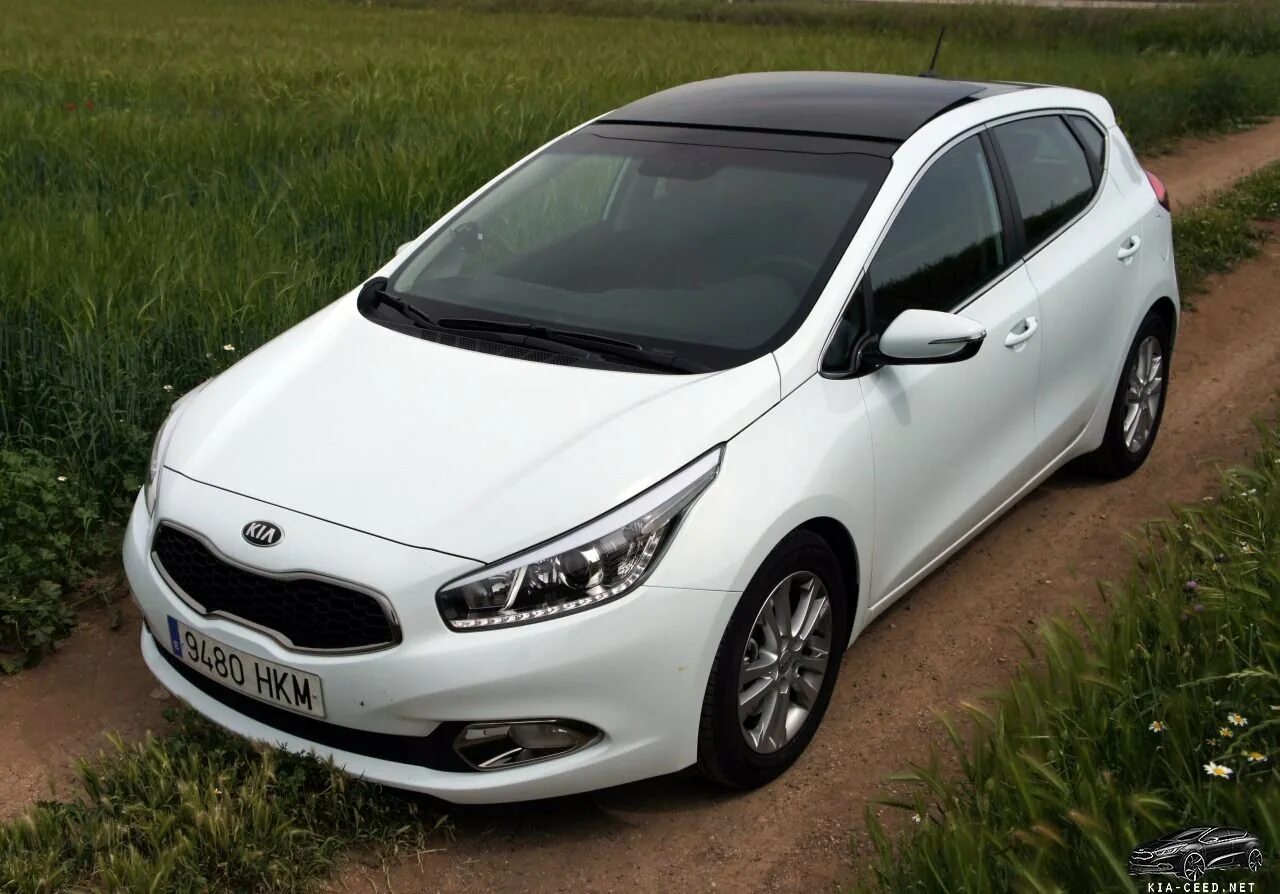 Киа сид 15. Kia Ceed 2012 белая. Kia Ceed 2. Kia Ceed 2 белый. Kia Ceed 2012 хэтчбек белый.