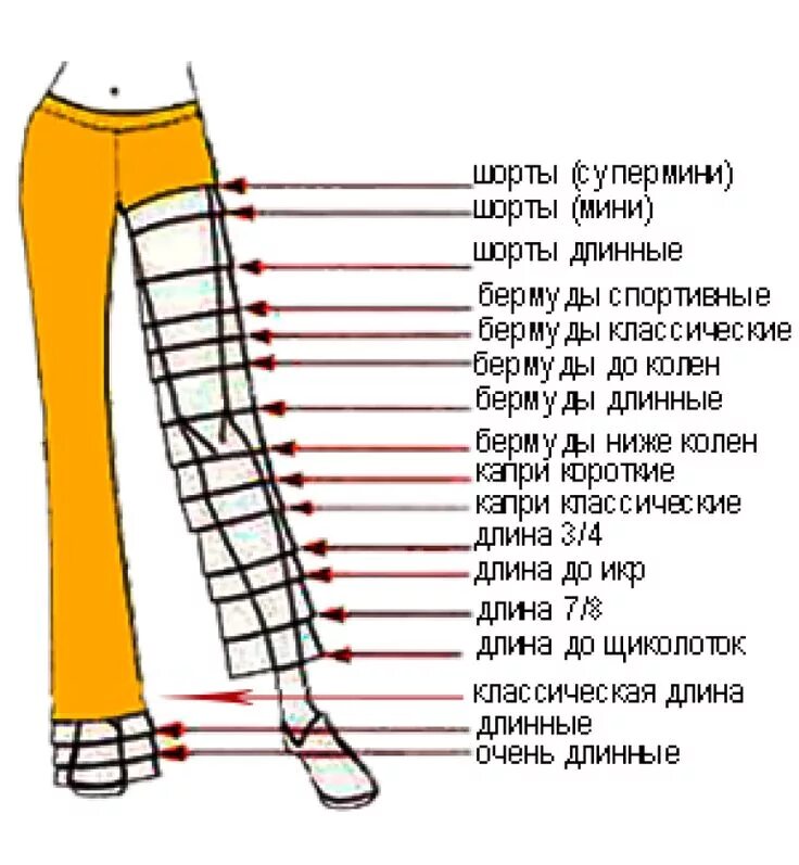 Насколько длинный. Классификация женских брюк по длине. Длина брюк названия. Виды женских брюк по длине. Название брюк разной длины.