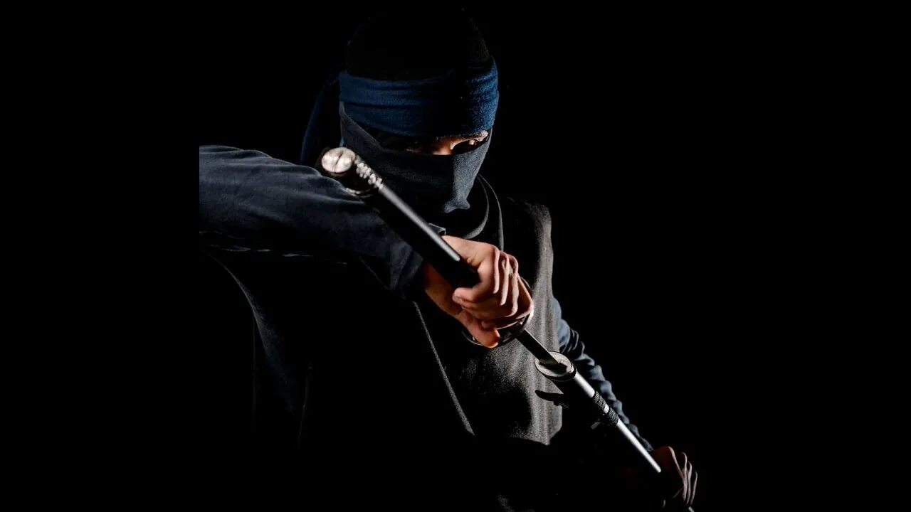 Noise ninja. Всемирный день ниндзя (international ninja day). ни зя. картинки ниндзя.