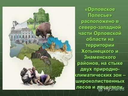 Орловское полесье кратко