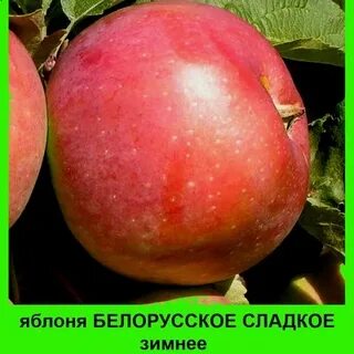 Белорусское сладкое отзывы