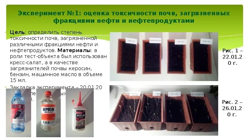 Токсичность почв определение. Загрязнение почвы опыты. опыты с нефтью. степень токсичности почвы. токсичные загрязнители почвы.