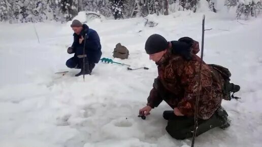 Рыбалка в тайге. Охота и рыбалка в тайге Коми. В глухих таежных местах. Охота коми 2024