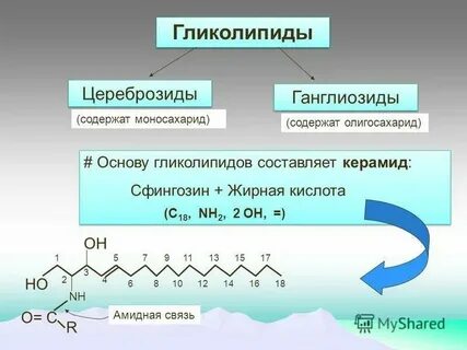 Окисление высокомолекулярных органических веществ
