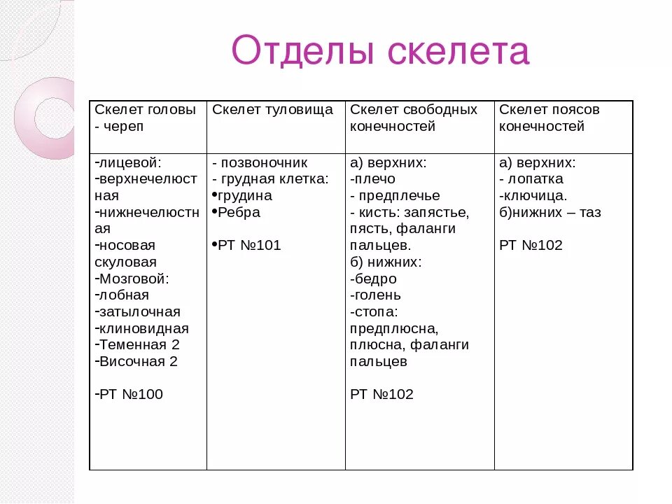 Отдел скелета особенности строения функции. Отдел скелета таблица. Скелет головы таблица. Скелет туловища таблица. Строение и функции скелета человека таблица.