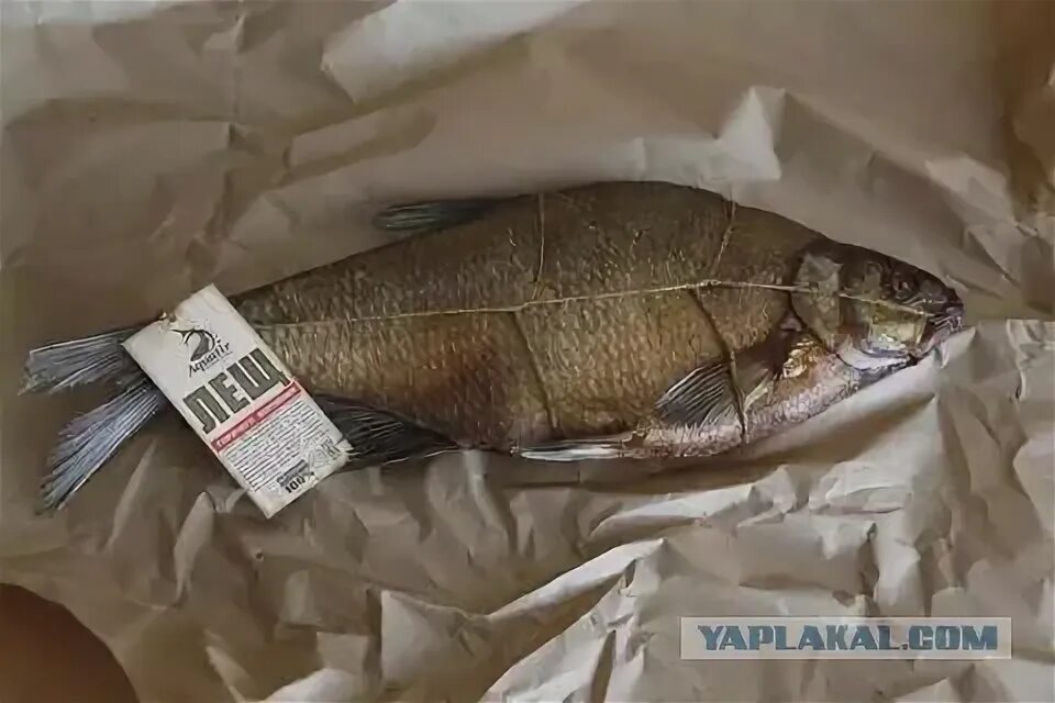 Что значит дать леща. Дать леща. дать леща фото. дали леща.