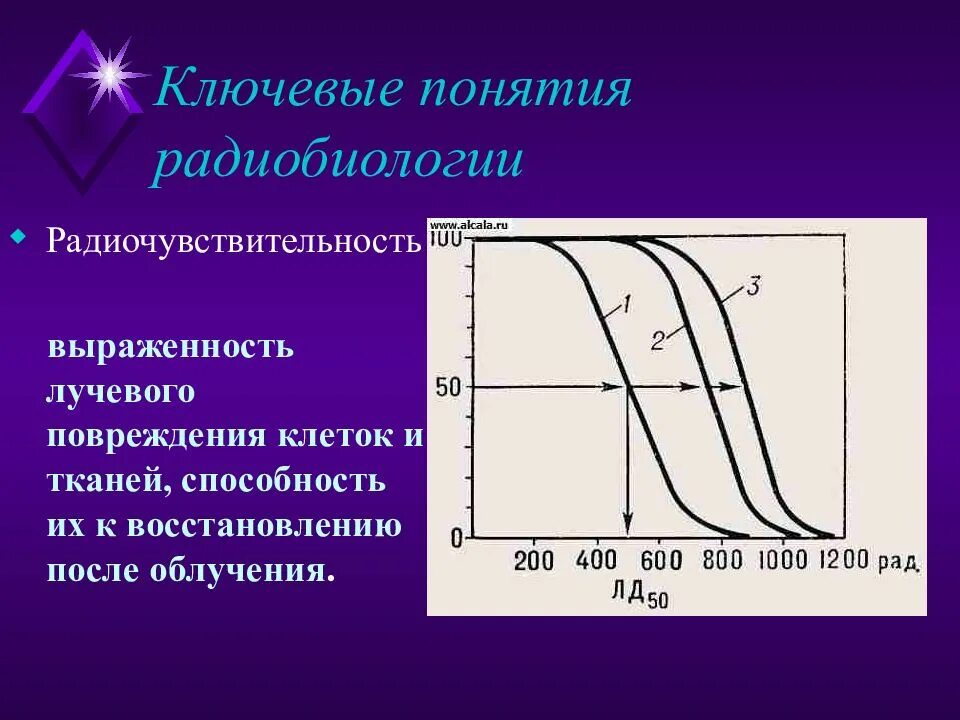 Радиобиология. Radiobiologiya presintatsiya. Радиочувствительность. Температурный эффект в радиобиологии.