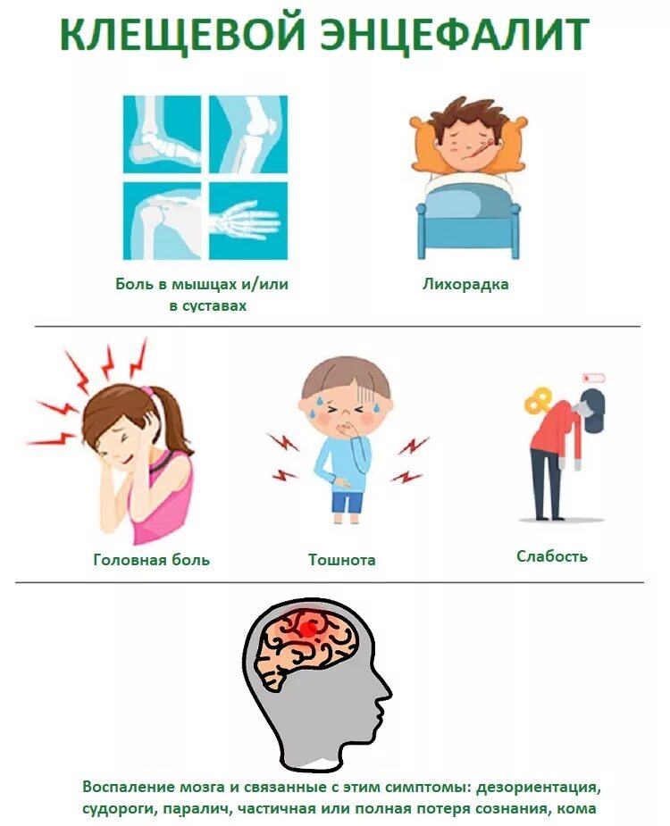 Клиническая картина клещевого энцефалита у детей. Симптомы клещевого энцефалита энцефалита. Клещевой энцефалит симптомы. Ранние признаки энцефалита. Признаки энцефалита после