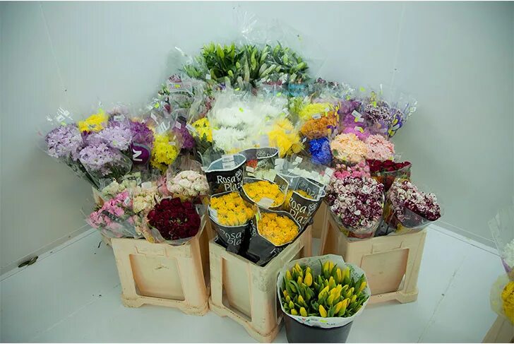 Дом цветом выкса. Цветочный магазин выкса. Цветочный магазин выкса. Дом цветов выкса. Доставка цветов выкса.
