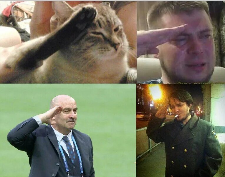 Пресс f to pay respects. Press f to pay respect кот. Press f to pay respect Мем. Мемы отдают честь. Мем press