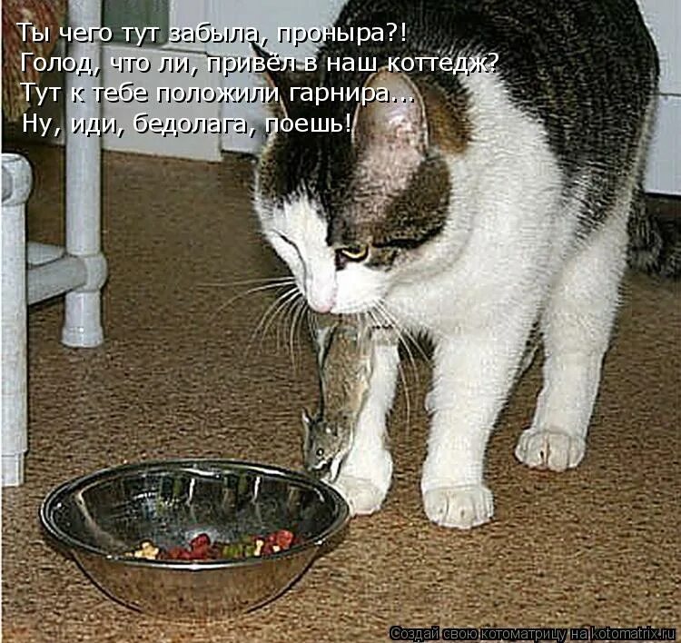 что ты тут забыла