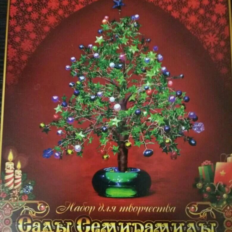 сады семирамиды саженцы