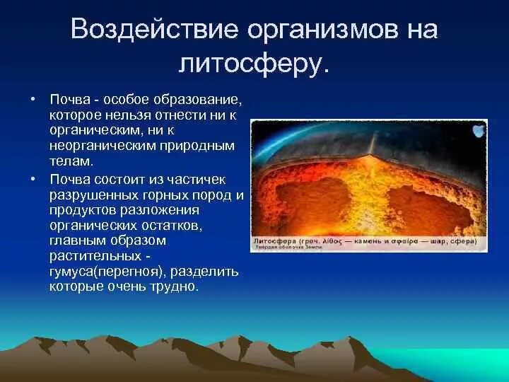 Какие опасные природные явления связаны с литосферой. Воздействие живых организмов на литосферу. Влияние организмов на литосферу. Организмы литосферы. Живые организмы в литосфере.