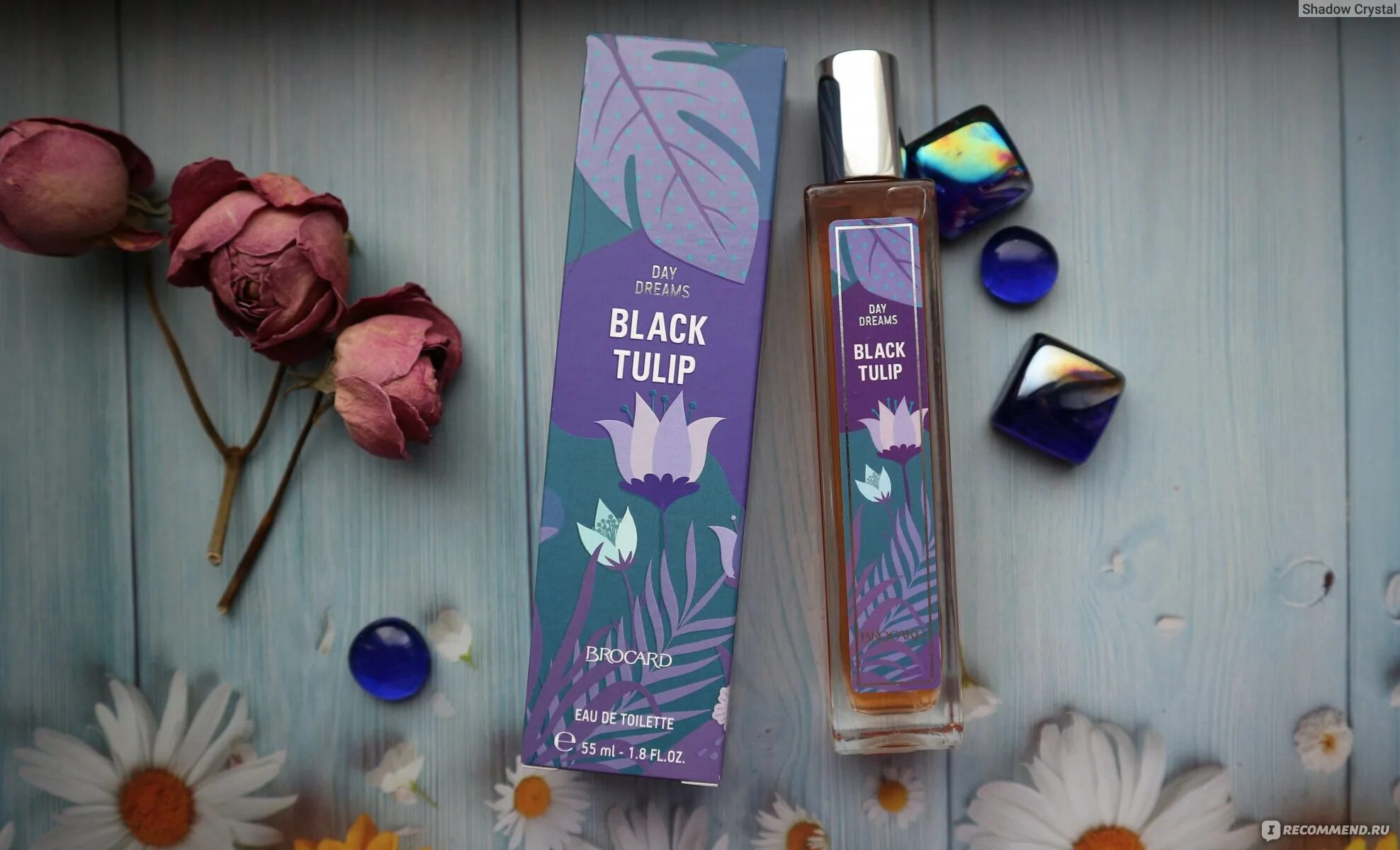 Black Tulip Brocard. Brocard туалетная вода Black Tulip. Туалетная вода грезы черный тюльпан (Day Dreams Black Tulip) жен. Т.В. 55 мл. Черный тюльпан брокард Ноты. Черный тюльпан отзывы