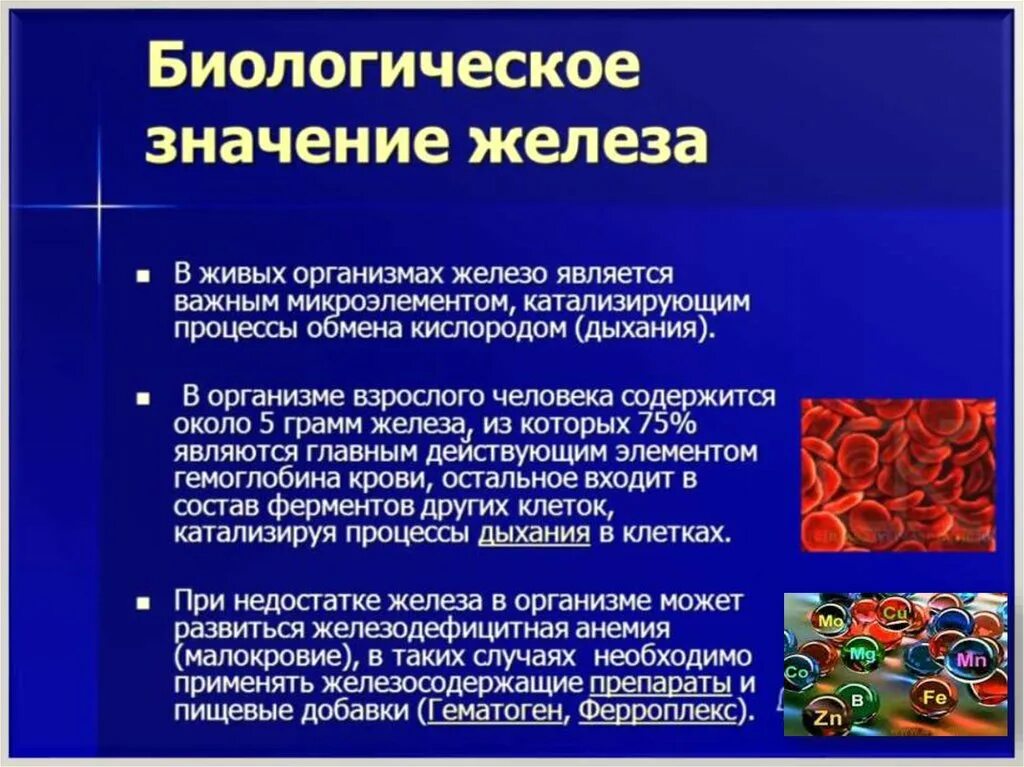 Железы организма человека. Роль железа в организме. Биологическая роль железа в организме. Элемент железо в организме человека.