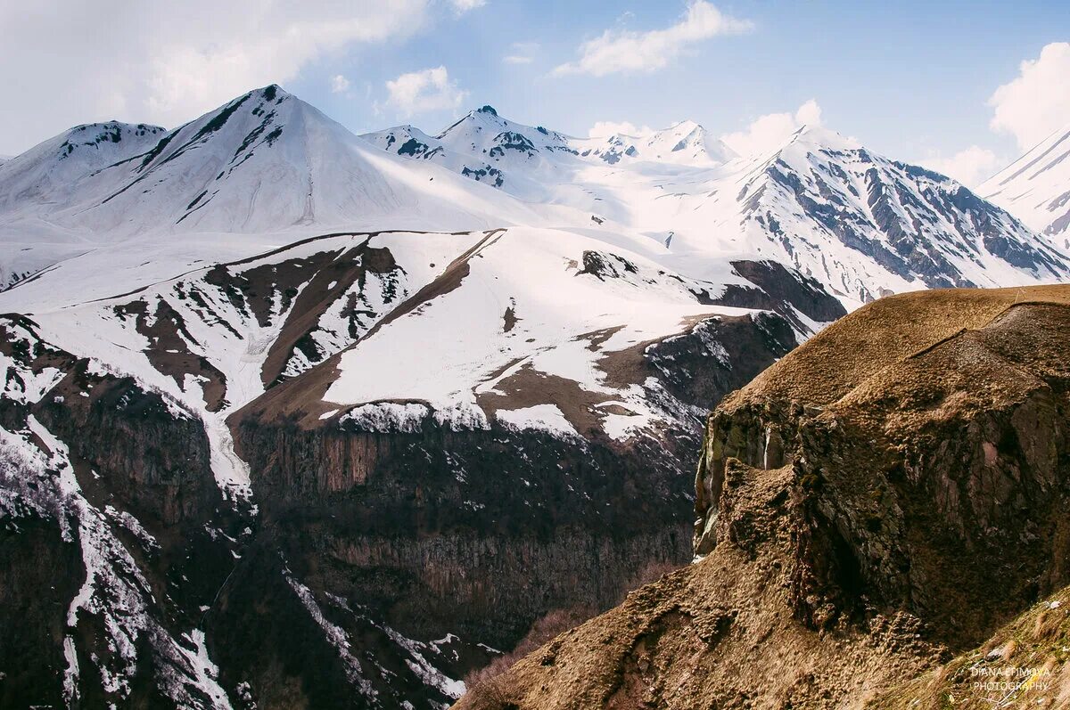 Название гор на кавказе в россии. Горы Кавказа. Что растет в горах. Горы Кавказа фото. Как растут горы.
