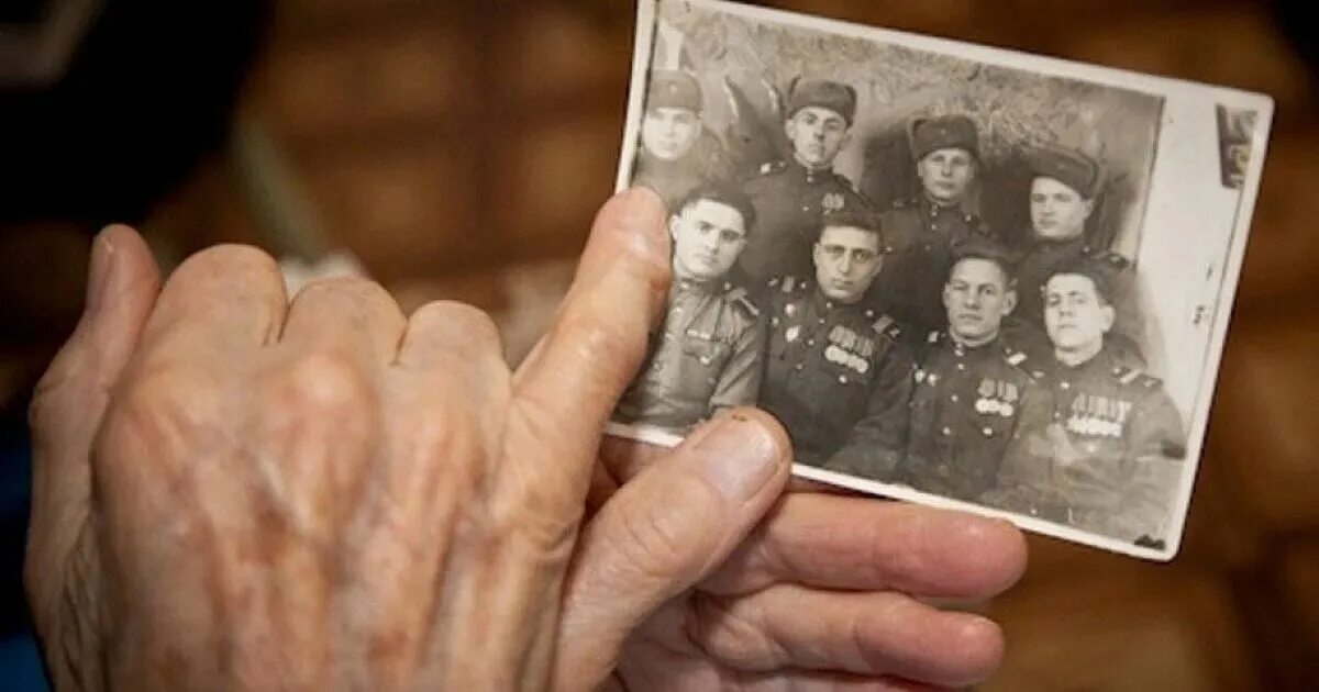 Кто из твоих родственников воевал. Фотоальбом Великой Отечественной войны. Фотография родственника на войне. Память о ветеранах ВОВ. Фотография на память.