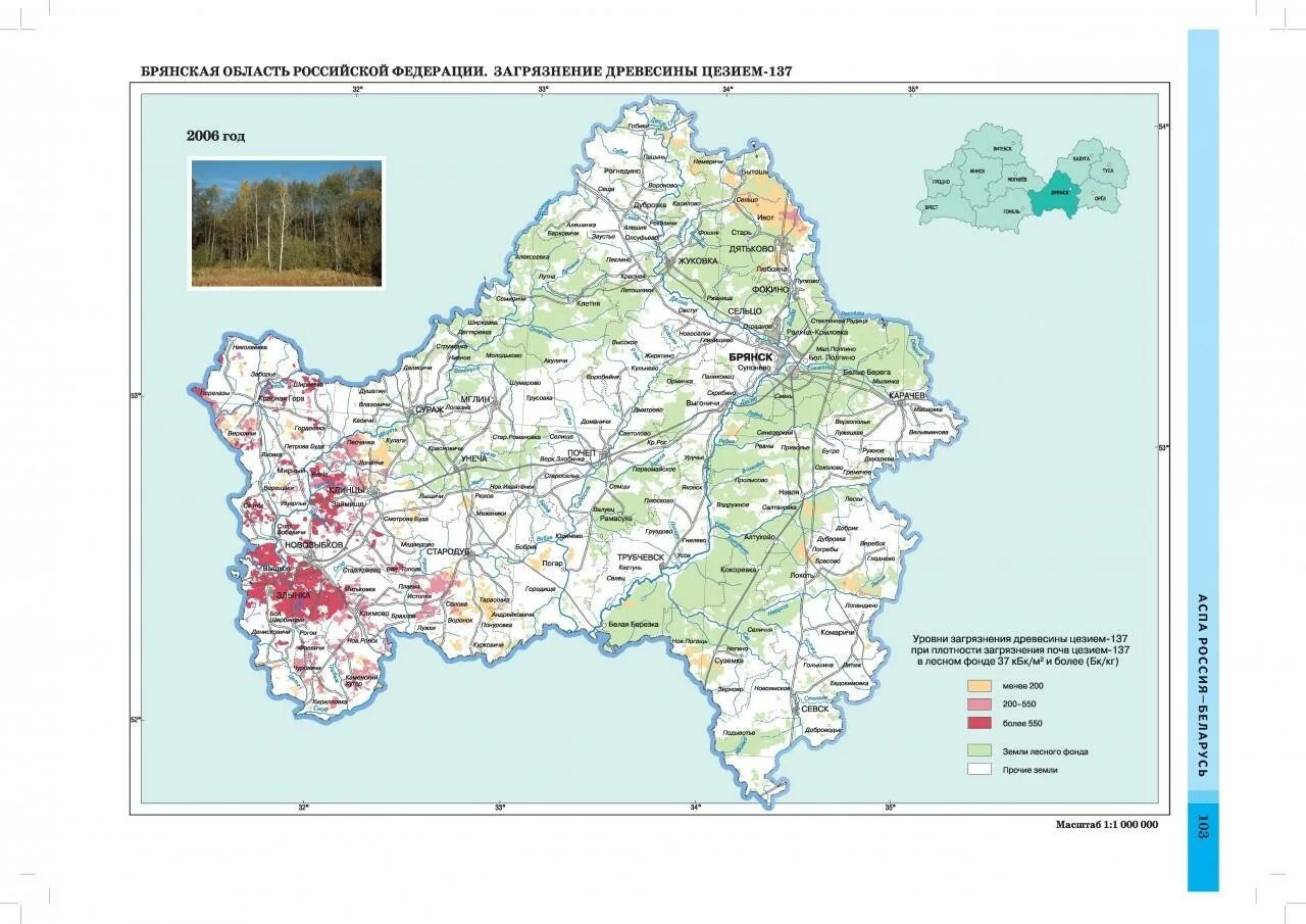 Какая природная зона в брянской области. Карта -схема лесничества Брянской области. География Брянской области карта. Физическая карта Брянской области. Карта Брянской области подробная.