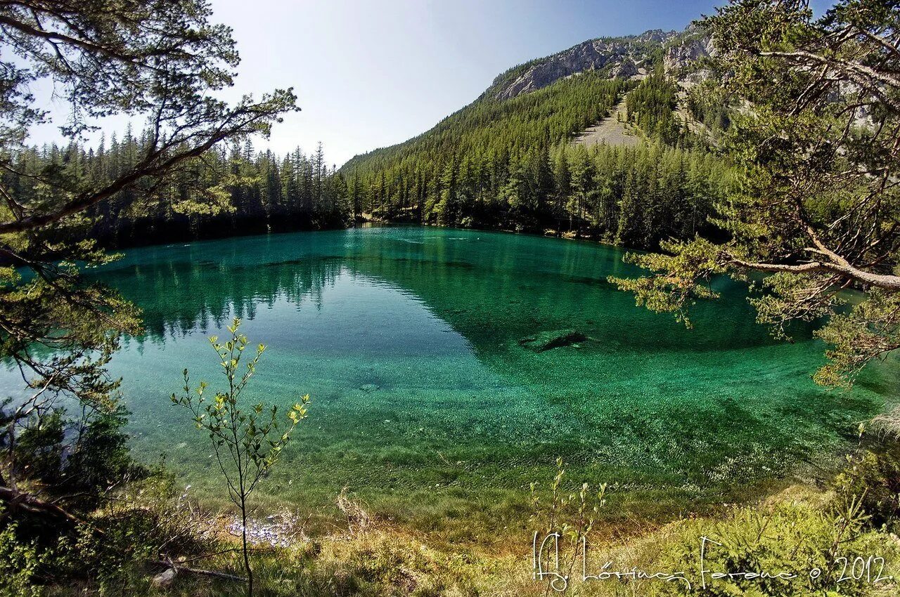 Озеро Грюнер Австрия. Зеленое озеро Грюнер Зее. Парк Грюнер Зее Австрия. Зеленое озеро в Австрии. Вокруг небольшого озера