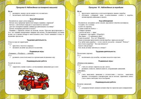 Прогулка в подготовительной группе летом
