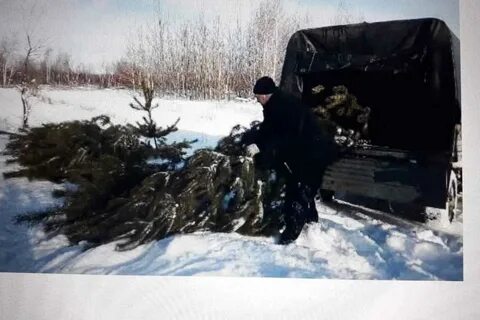 Что можно делать 28 декабря