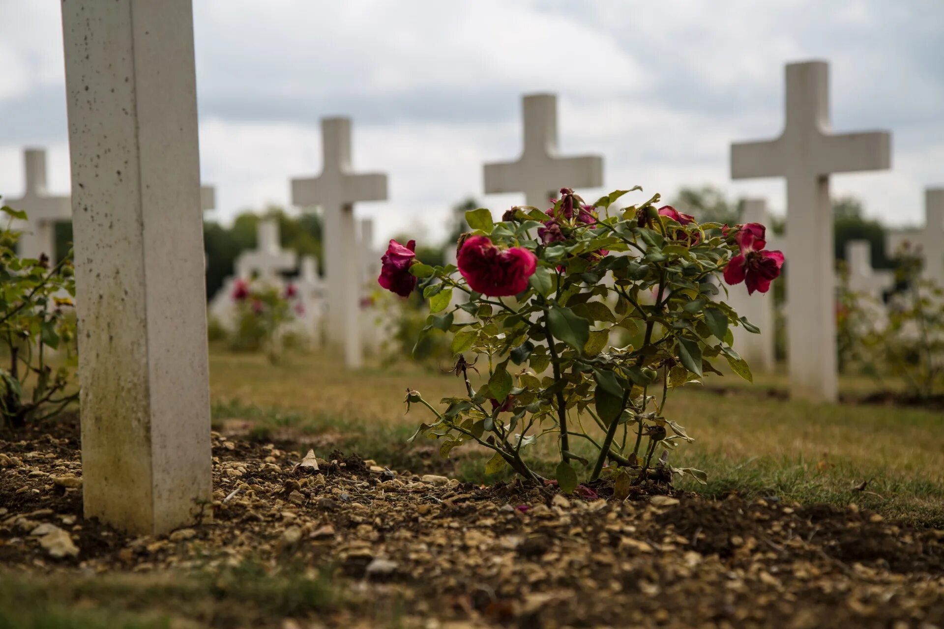 Похороненный крест. Военное кладбище Верден. Крест на могилу. Черный крест на кладбище. Погост крест.