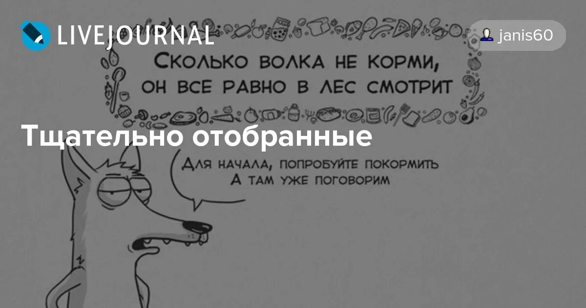 Сколько волку некорми, в лес смотрит. Как волка не корми. Волк все равно в лес смотрит. Сколько волка не корми все в лес смотрит. Сколько волка не корми все в лес смотрит.