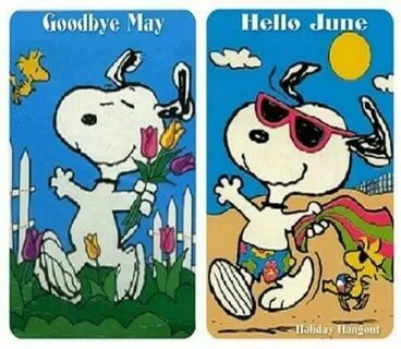 Май bye